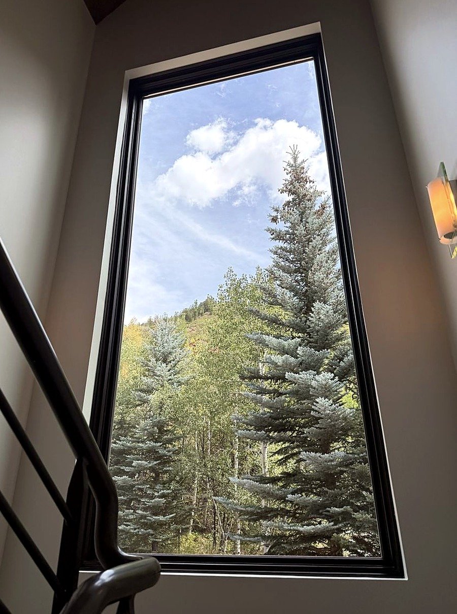 A tall angled window on the staircase, filled with conifers and the hillside beyond